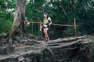 BIB: 
                            <button type="button" onclick="openModal(27310630)" class="btn btn-primary btn-sm float-right btn-popup" data-toggle="modal" data-target=".modal-high-quality">
                        <i class="fas fa-shopping-cart"></i> Add to Cart
                    </button>
                                            <button type="button" onclick="isThisMe(27310630, true)" class="btn btn-success btn-sm float-right btn-popup btn-isme hidden" data-toggle="tooltip" data-placement="bottom" title="นี่คือรูปของคุณใช่ไหม คลิกที่นี่เพื่อเอาเข้าอัลบั้ม">
                        <i class="fas fa-plus"></i> Add to album
                    </button>
                    <button type="button" onclick="isThisMe(27310630, false)" class="btn btn-warning btn-sm float-right btn-popup btn-isnotme hidden">
                        <i class="fas fa-ban"></i> Remove from album
                    </button>